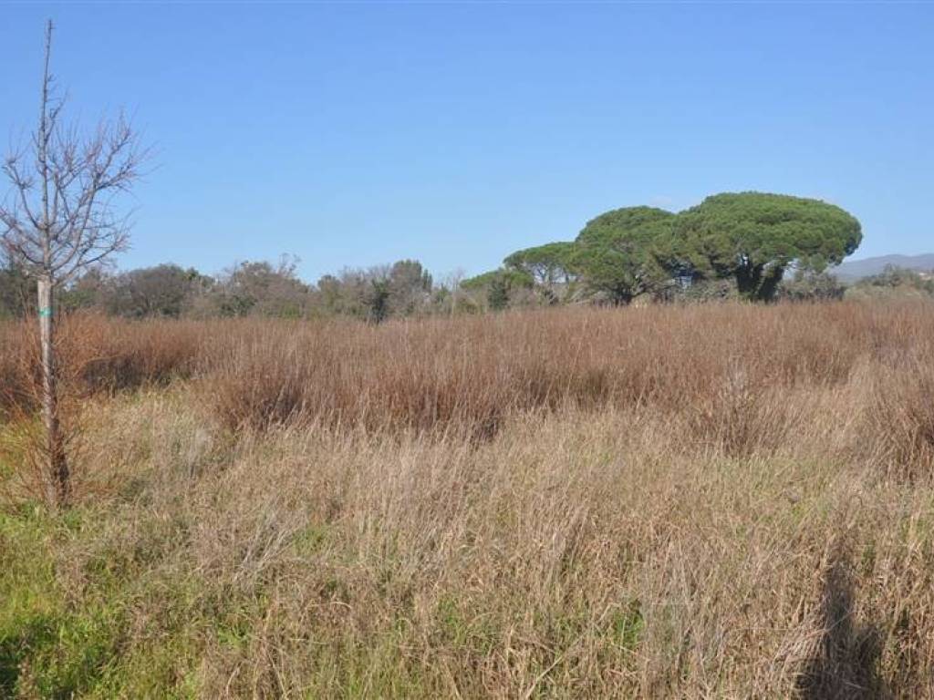Terreno a Rosignano marittimo in S.R. 206 - Foto 4