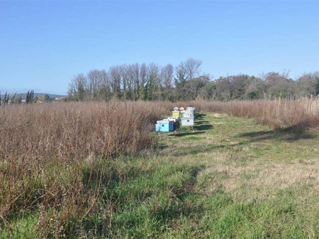 Terreno a Rosignano marittimo in S.R. 206 - Foto 5