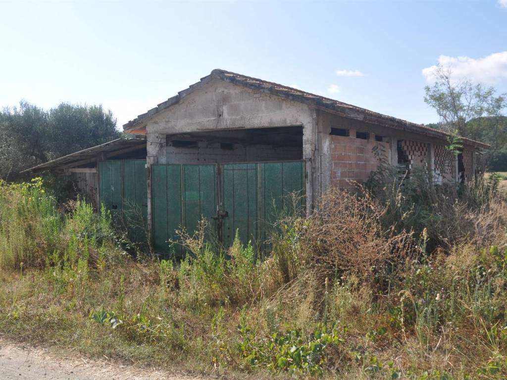 Rustico / casale a Rosignano marittimo in Località Pipistrello - Foto 2