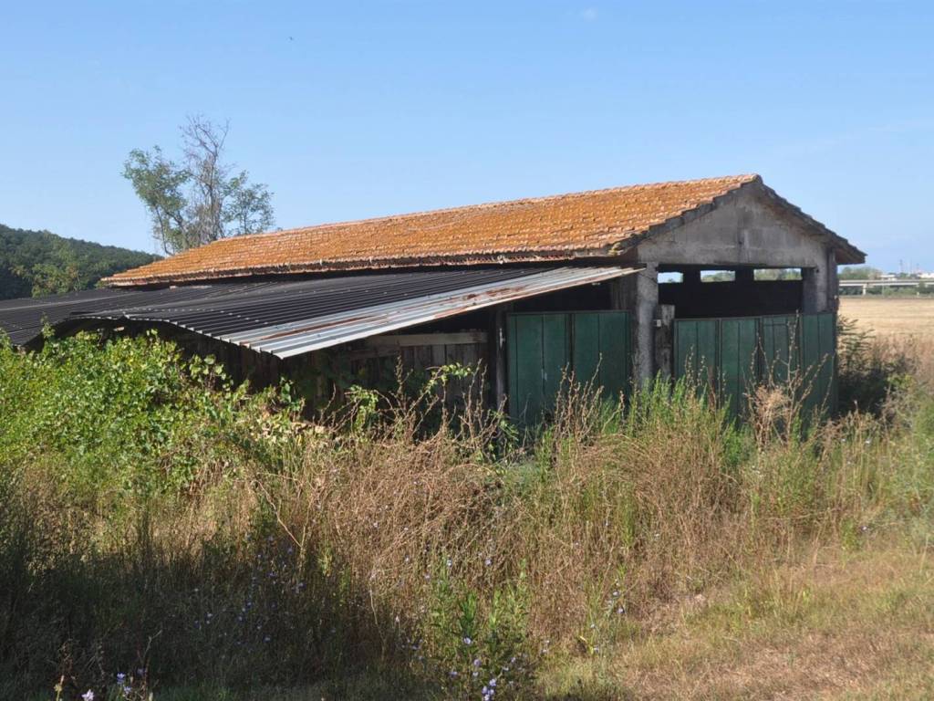 Rustico / casale a Rosignano marittimo in Località Pipistrello - Foto 3