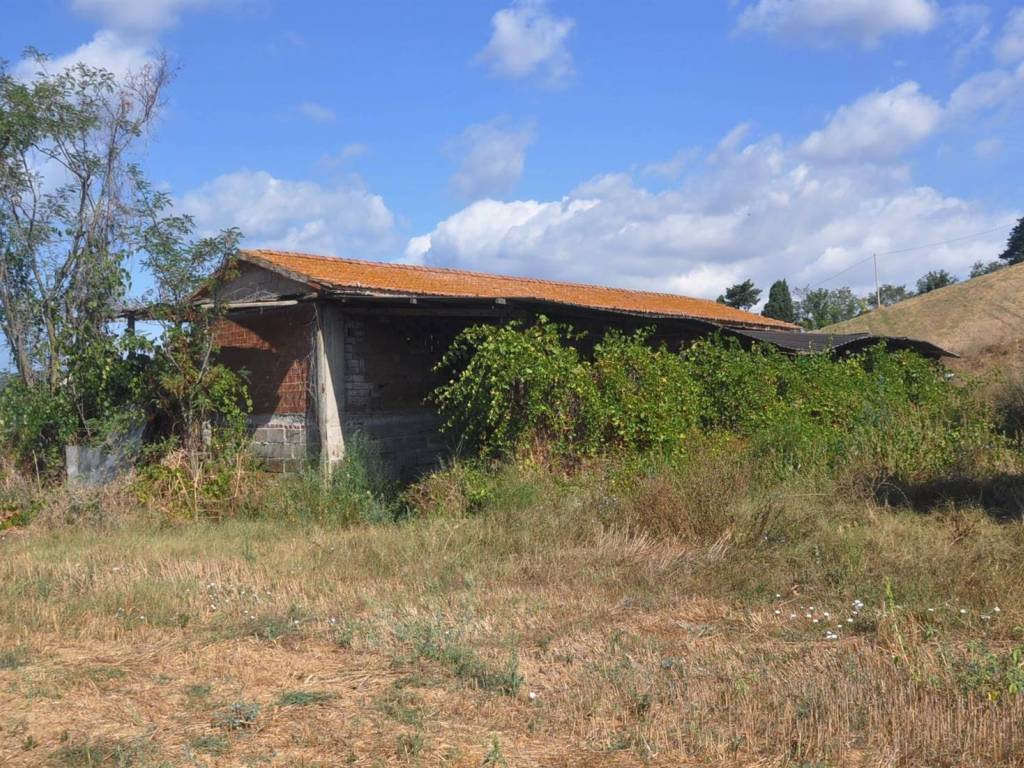 Rustico / casale a Rosignano marittimo in Località Pipistrello - Foto 4