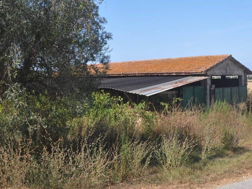 Rustico / casale a Rosignano marittimo in Località Pipistrello - Foto 5