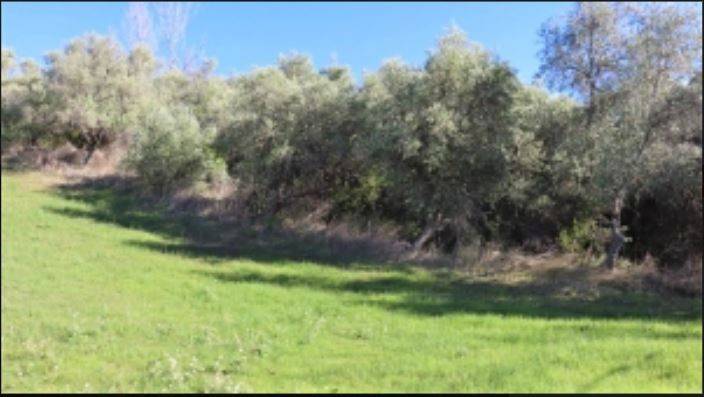 Terreno a Castel frentano in Strada Statale Frentana - Foto 2