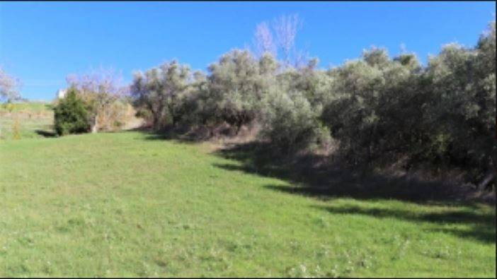 Terreno a Castel frentano in Strada Statale Frentana - Foto 3