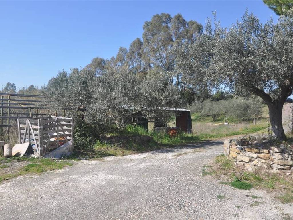 Rustico / casale a Rosignano marittimo - Foto 2