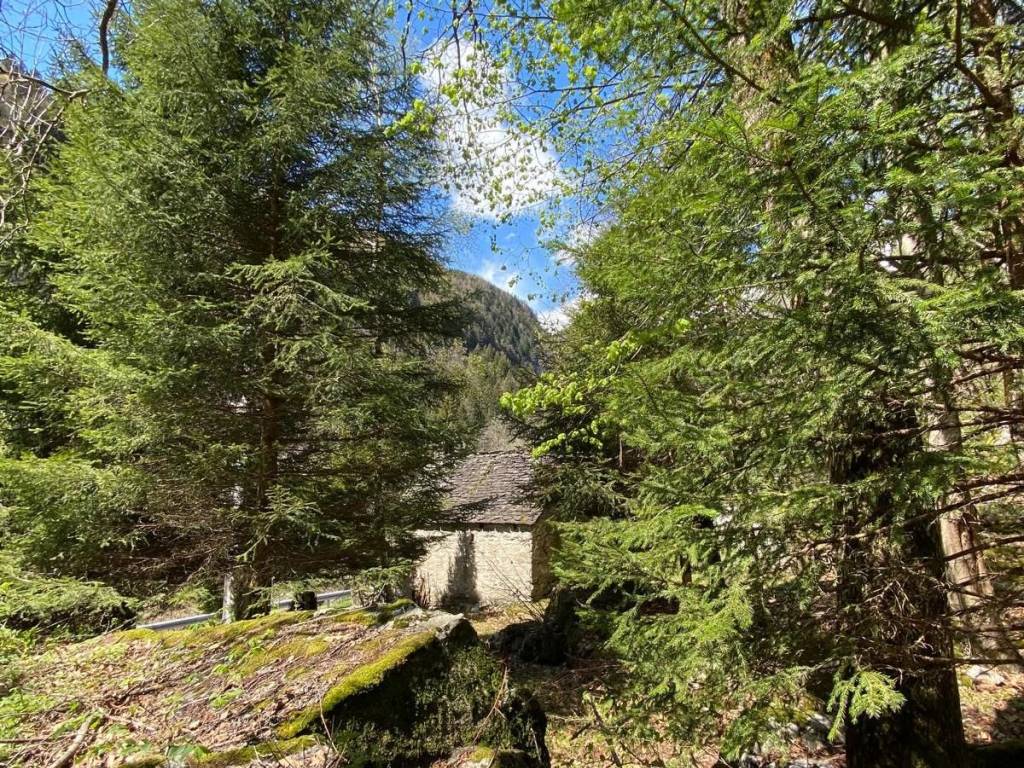 Villa a Baceno in Località Ponte Romano - Foto 3