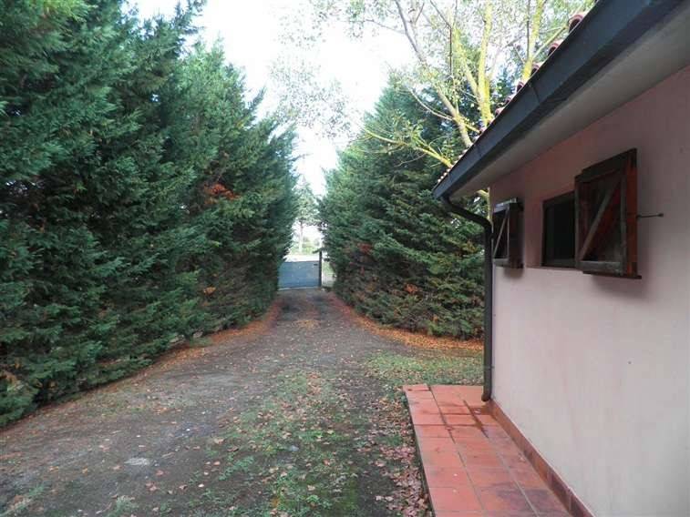 Rustico / casale a Rosignano marittimo - Foto 4