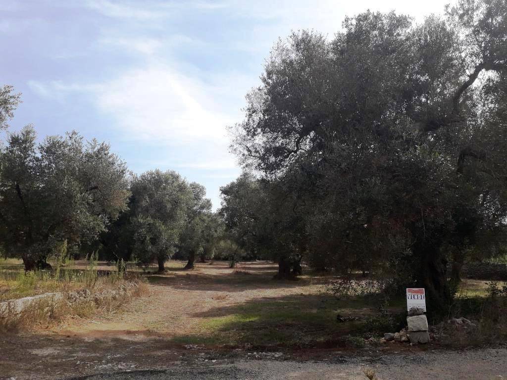 Terreno a Melendugno in Strada Vicinale Sant'Andrea - Foto 2