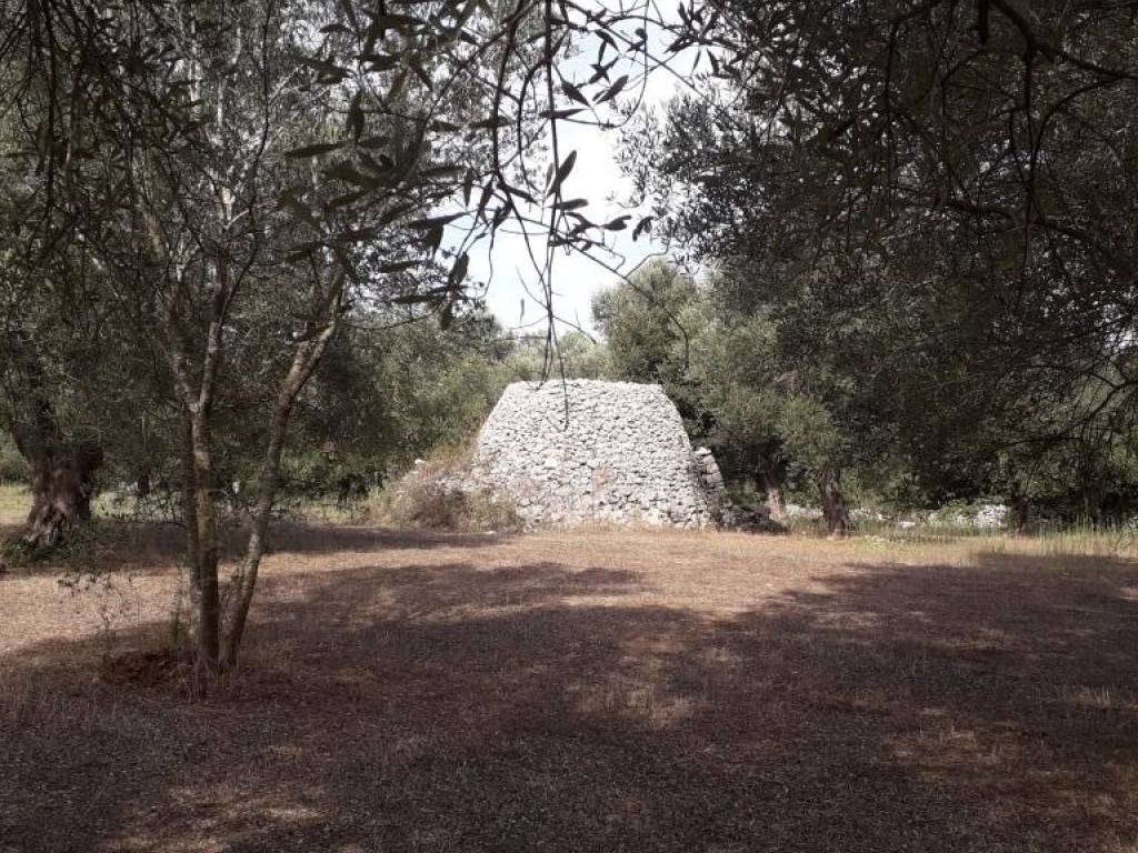 Terreno a Melendugno in Strada Vicinale Sant'Andrea - Foto 5