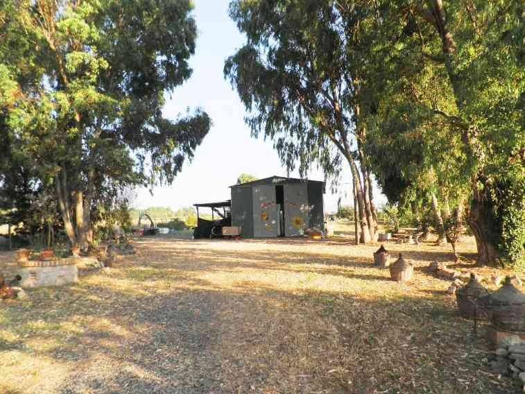 Rustico / casale a Rosignano marittimo - Foto 2