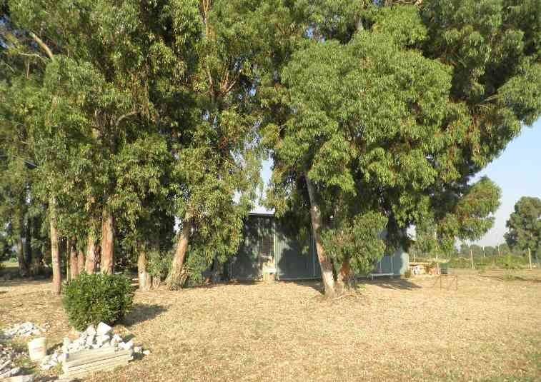 Rustico / casale a Rosignano marittimo - Foto 3