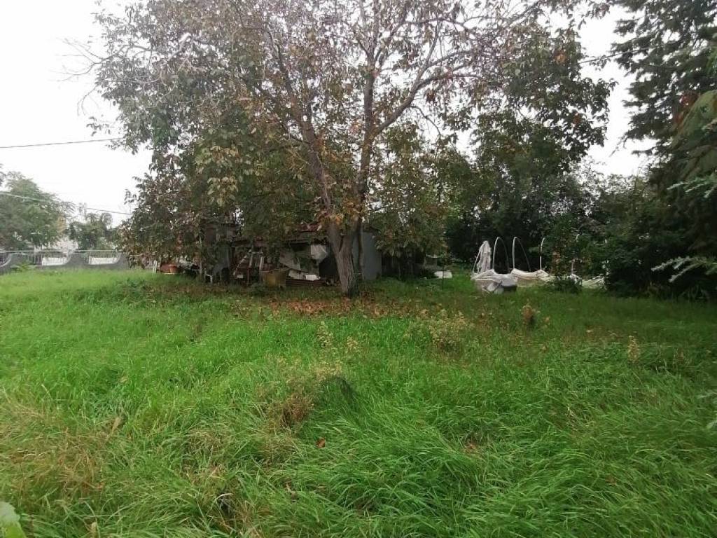 Terreno a Jesi - Foto 4