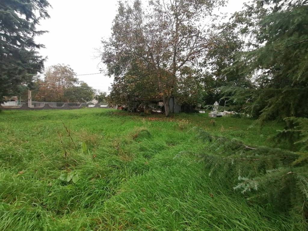 Terreno a Jesi - Foto 5