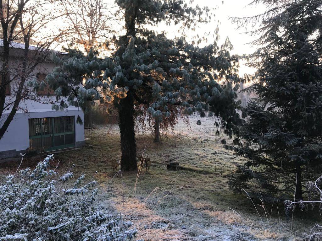 Villa a Crema in Viale Santa Maria della Croce, 32 - Foto 4