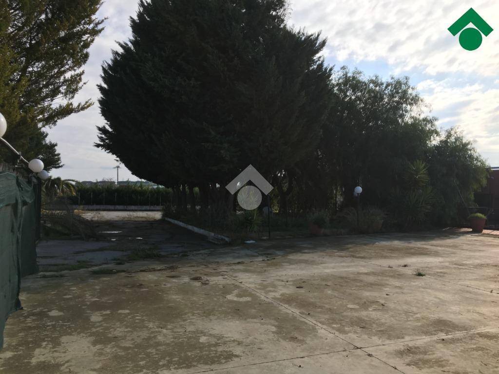 Rustico / casale a Cerignola in via SP231 - Foto 3