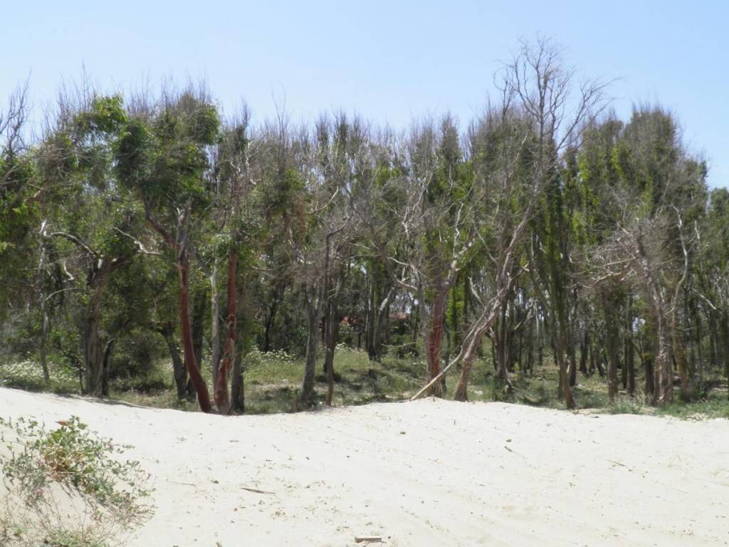 Terreno a Augusta in Contrada Gelsari - Foto 3