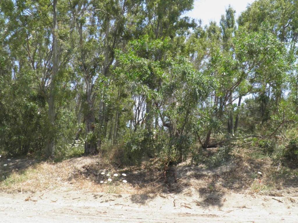 Terreno a Augusta in Contrada Gelsari - Foto 5