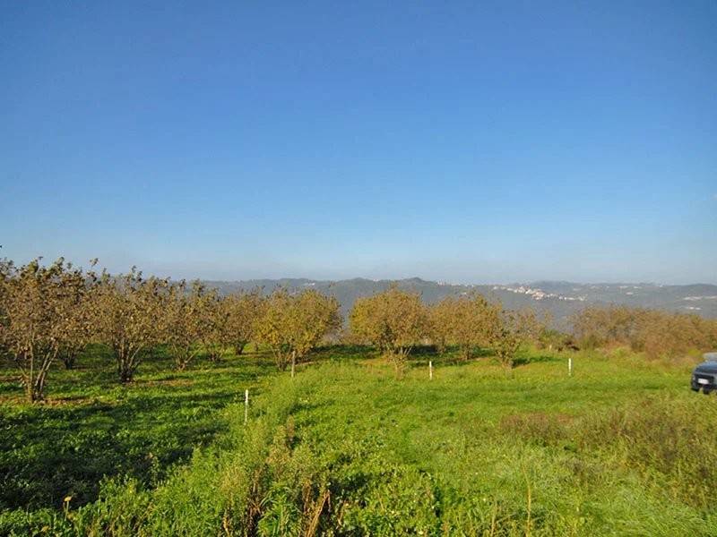 Rustico / casale a Feisoglio - Foto 2