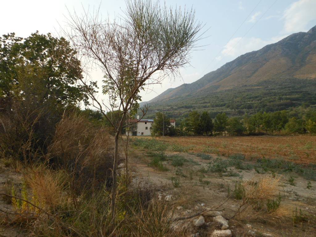 Terreno a San pietro infine - Foto 2