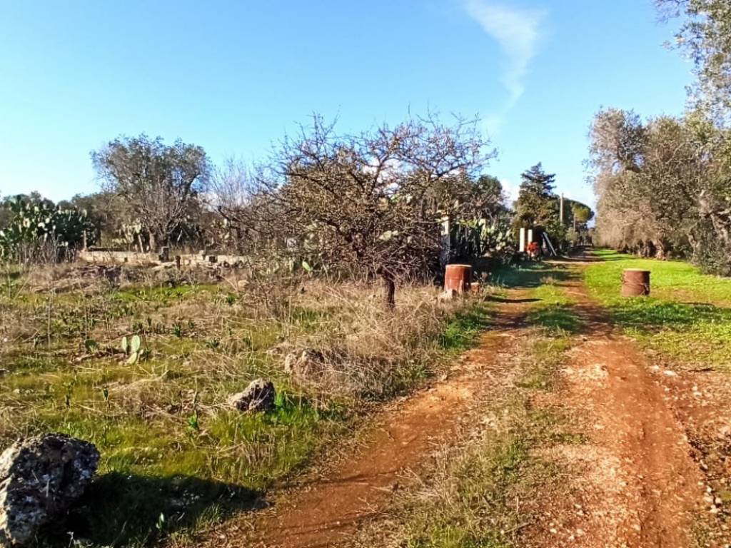 Terreno a Francavilla fontana in Contrada Lobarco - Foto 3