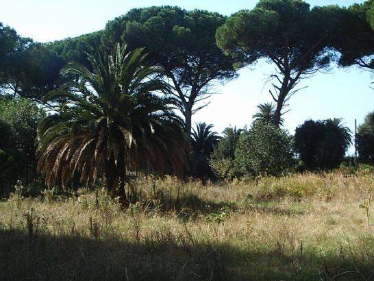 Immobile a Castagneto carducci - Foto 2