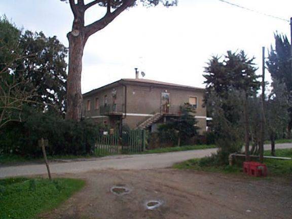 Immobile a Castagneto carducci - Foto 2