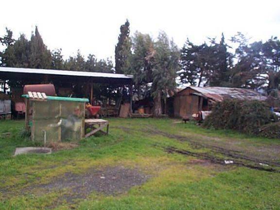 Immobile a Castagneto carducci - Foto 5