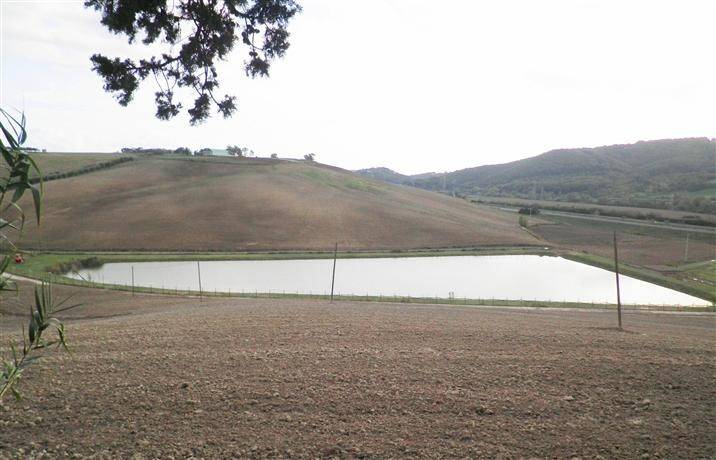 Terreno a Rosignano marittimo in S.R.206 - Foto 3