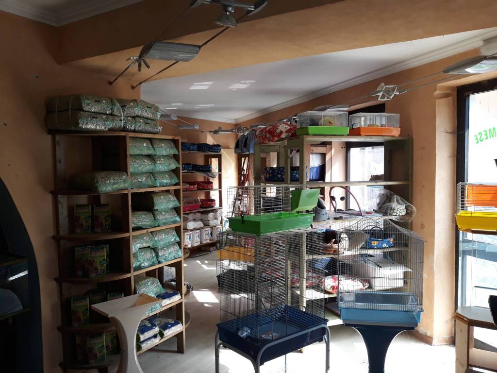 Immobile a Borgo san dalmazzo in Via Roma, 7 - Foto 2