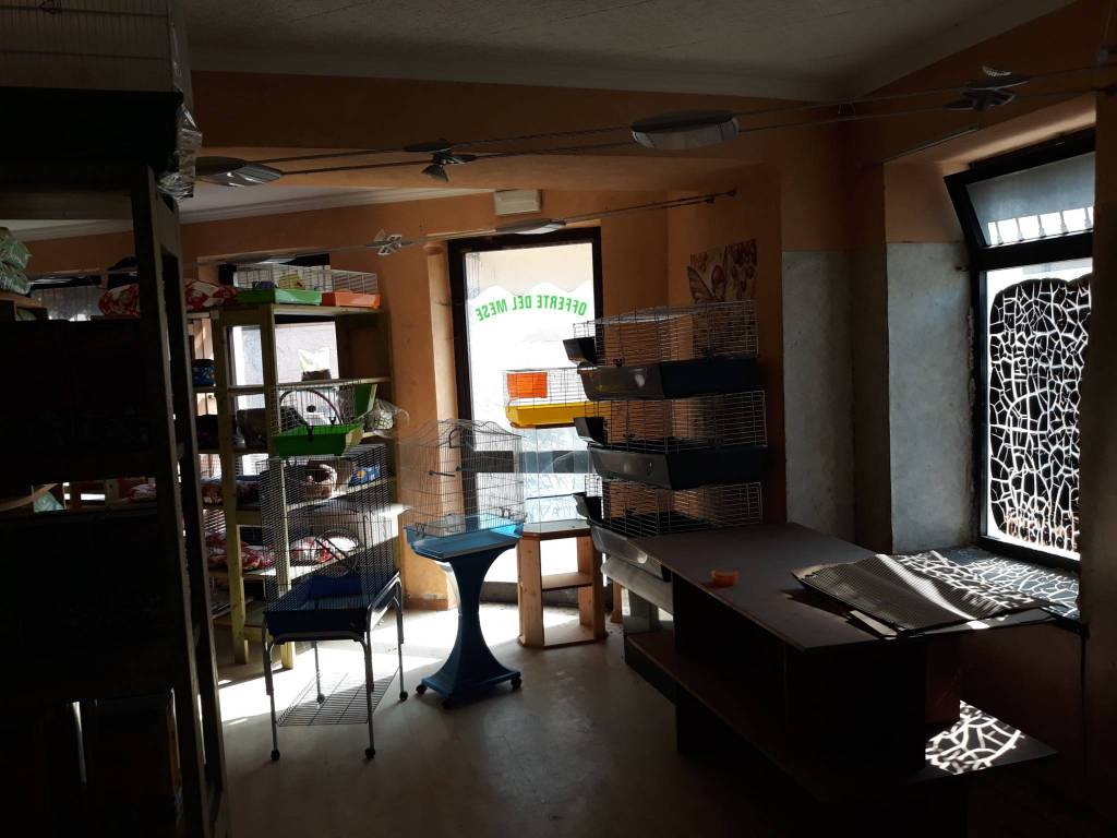 Immobile a Borgo san dalmazzo in Via Roma, 7 - Foto 4