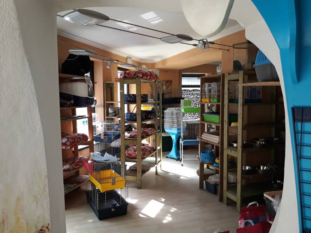 Immobile a Borgo san dalmazzo in Via Roma, 7 - Foto 5