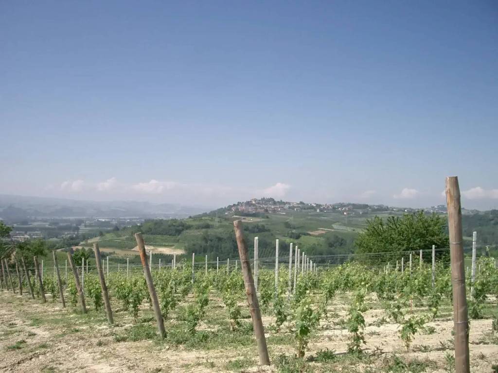 Terreno a Govone in Via Crocco - Foto 2