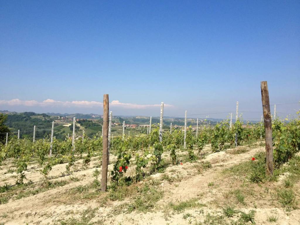 Terreno a Govone in Via Crocco - Foto 5