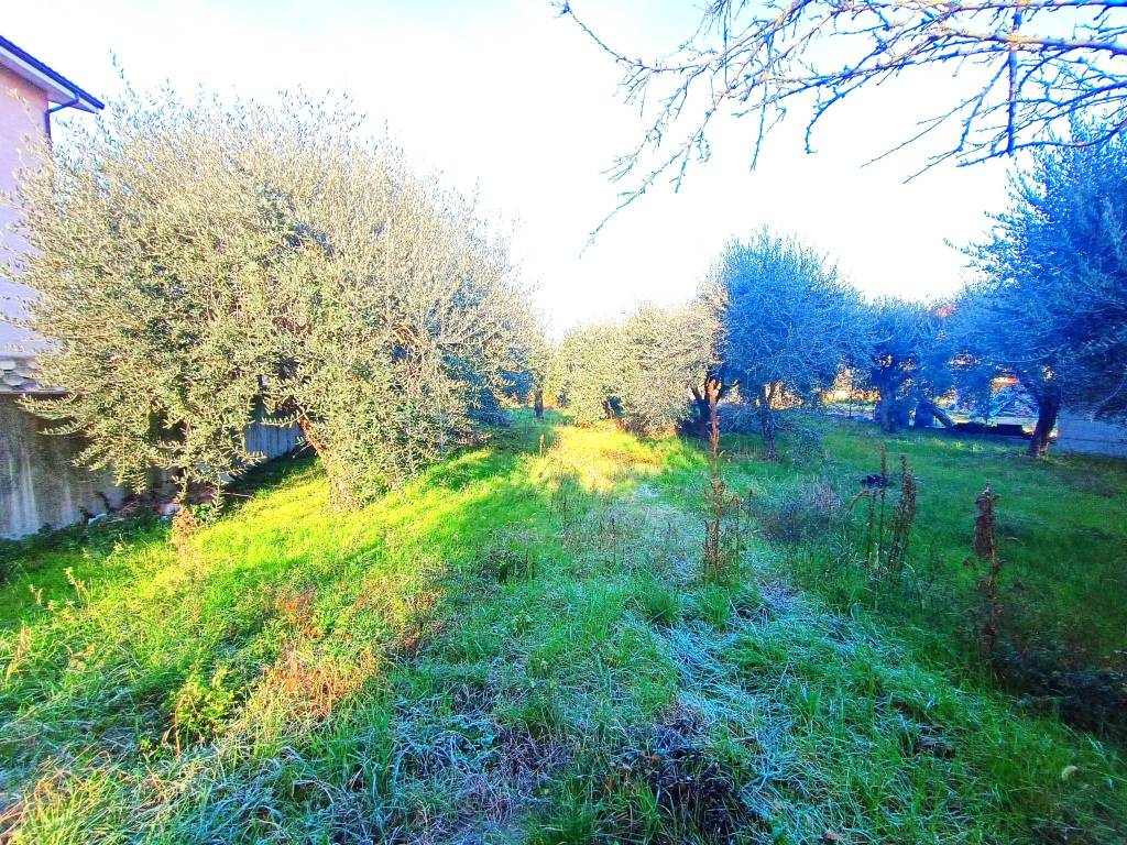 Casa indipendente a Grottazzolina - Foto 5