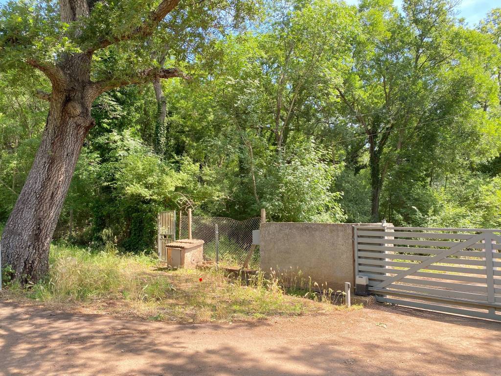 Rustico / casale a Capalbio - Foto 4