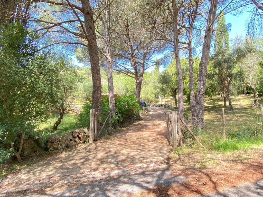 Rustico / casale a Capalbio - Foto 5