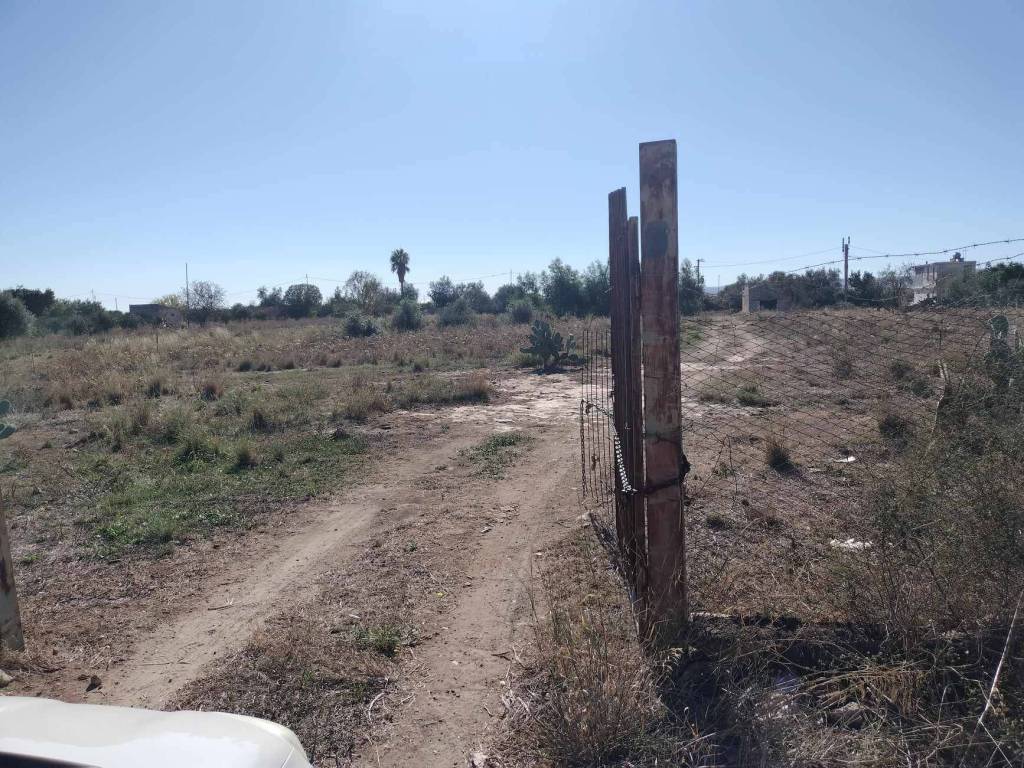 Terreno a Carlentini - Foto 4