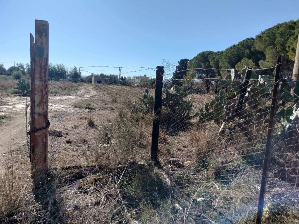 Terreno a Carlentini - Foto 5