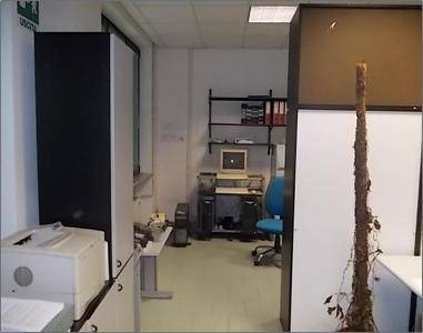 Immobile a Cremona in Via Platani, 9 - Foto 5