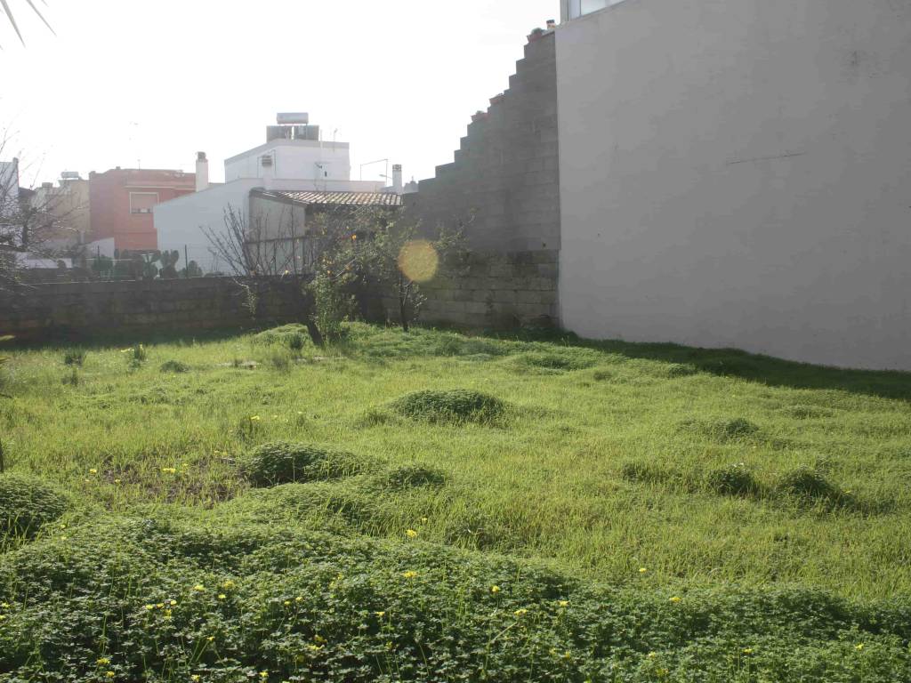 Terreno a Ugento in Via Francesco Petrarca, - Foto 4