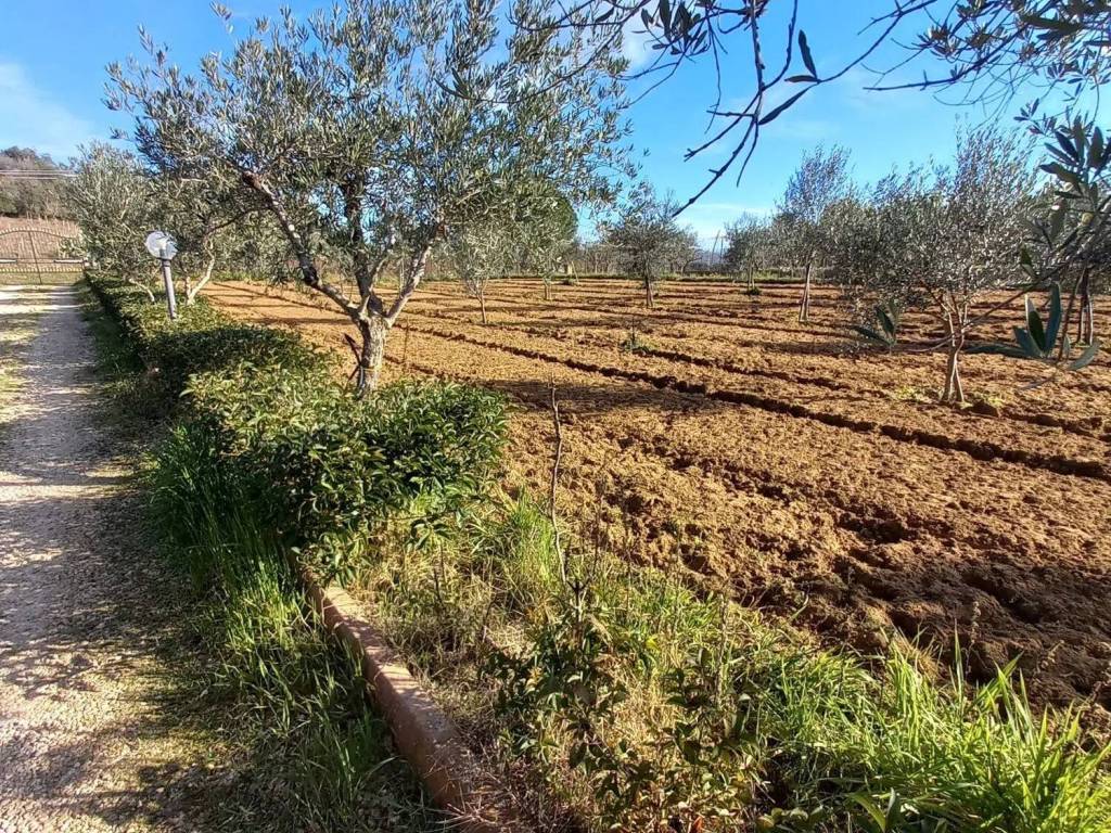 Villa a Piazza armerina in Contrada Sambuco S.N.C. - Foto 3