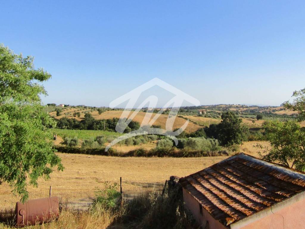 Rustico / casale a Scansano in Strada Provinciale Aione - Foto 3