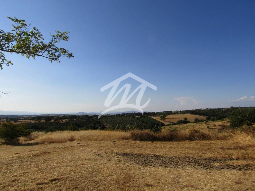 Rustico / casale a Scansano in Strada Provinciale Aione - Foto 5