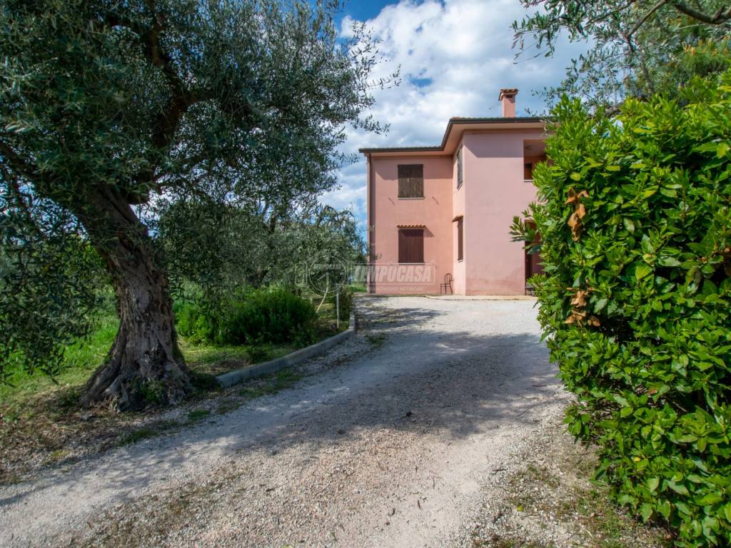 Casa indipendente a Civitanova marche in Via doria a. 77 - Foto 5
