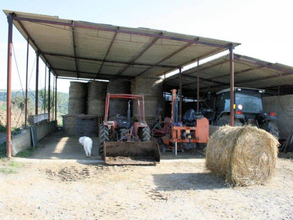 Rustico / casale a Magliano in toscana - Foto 2