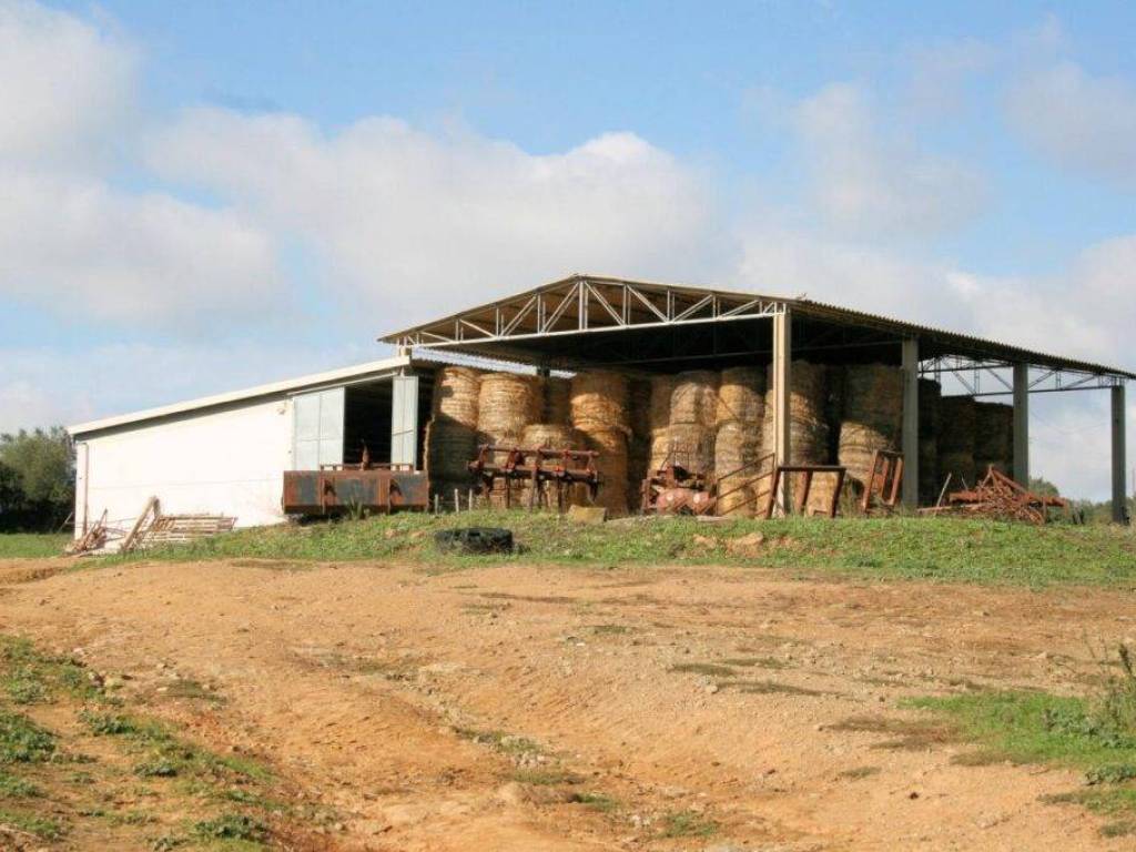 Rustico / casale a Magliano in toscana - Foto 4