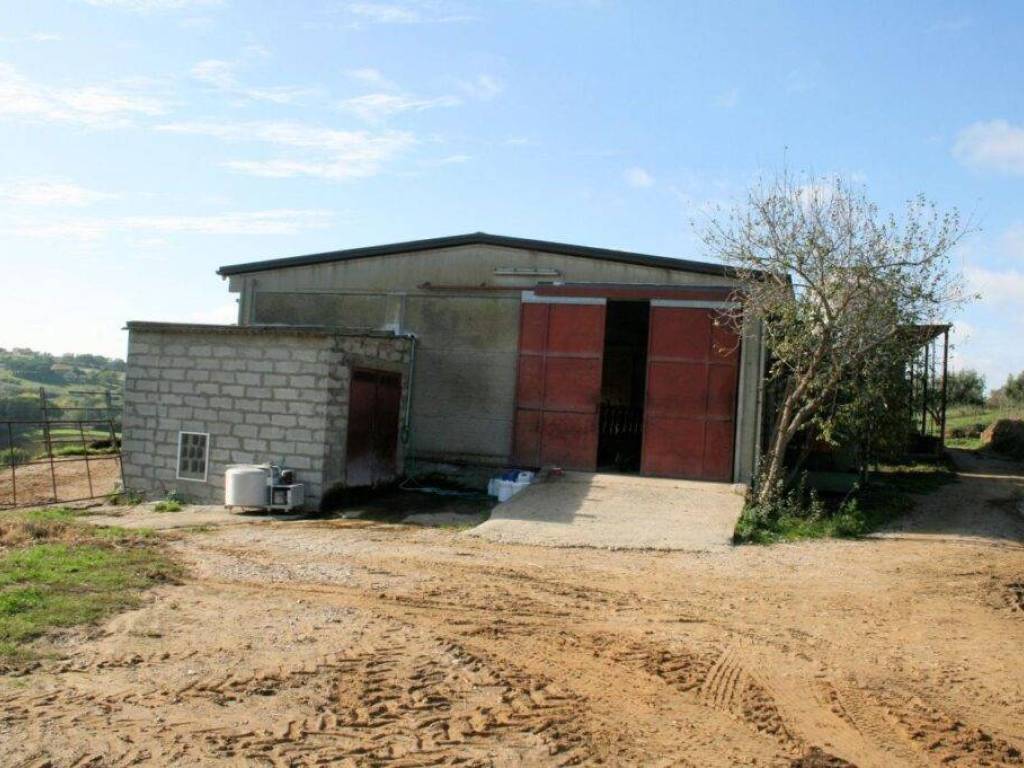 Rustico / casale a Magliano in toscana - Foto 5