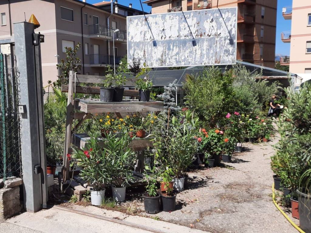 Terreno a L'aquila in Via Cardinale Mazzarino - Foto 5