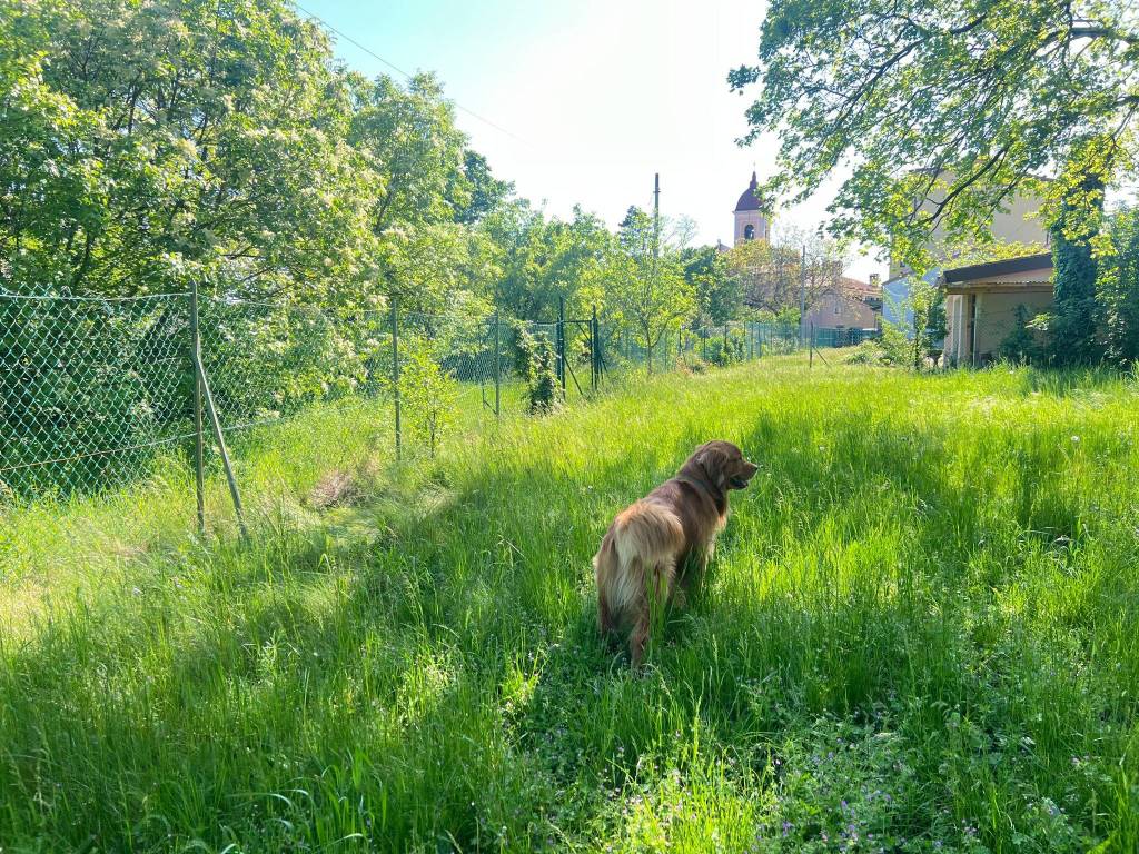 Terreno a Trieste in Via Doberdò - Foto 4