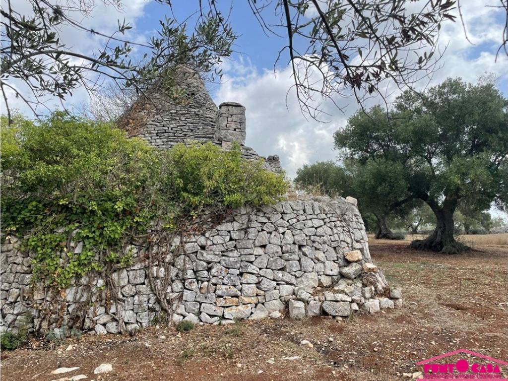 Rustico / casale a Ostuni in Contrada Pascarosa - Foto 2